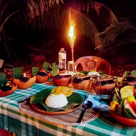 Experience The Comforts Of An Amazing Treehouse 锡吉里亚 外观 照片