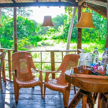Experience The Comforts Of An Amazing Treehouse 锡吉里亚 外观 照片