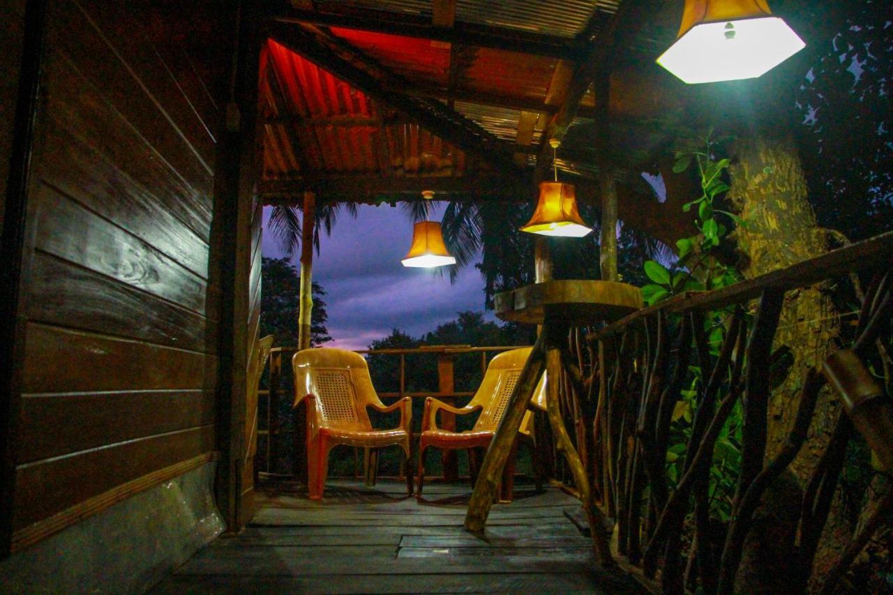 Experience The Comforts Of An Amazing Treehouse 锡吉里亚 外观 照片
