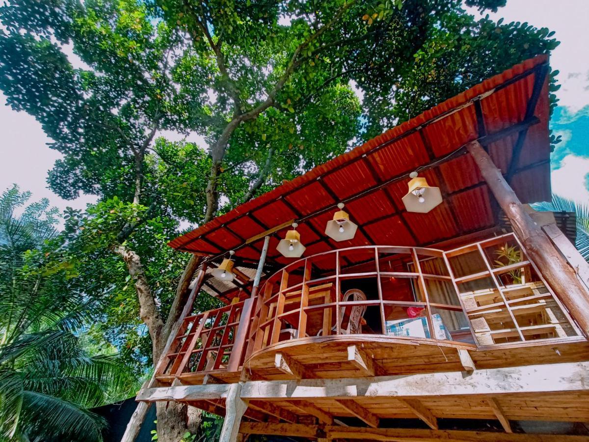 Experience The Comforts Of An Amazing Treehouse 锡吉里亚 外观 照片