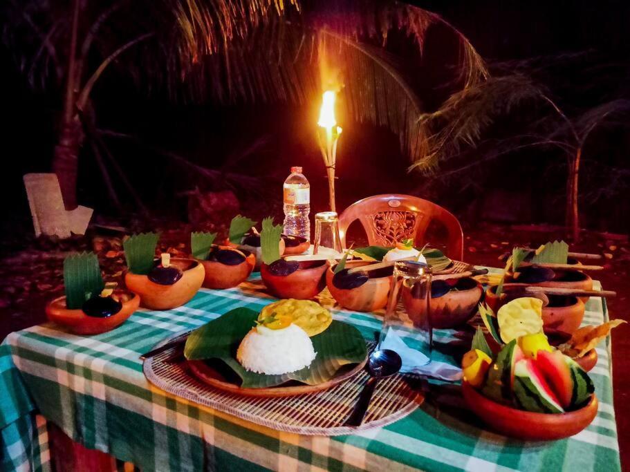 Experience The Comforts Of An Amazing Treehouse 锡吉里亚 外观 照片