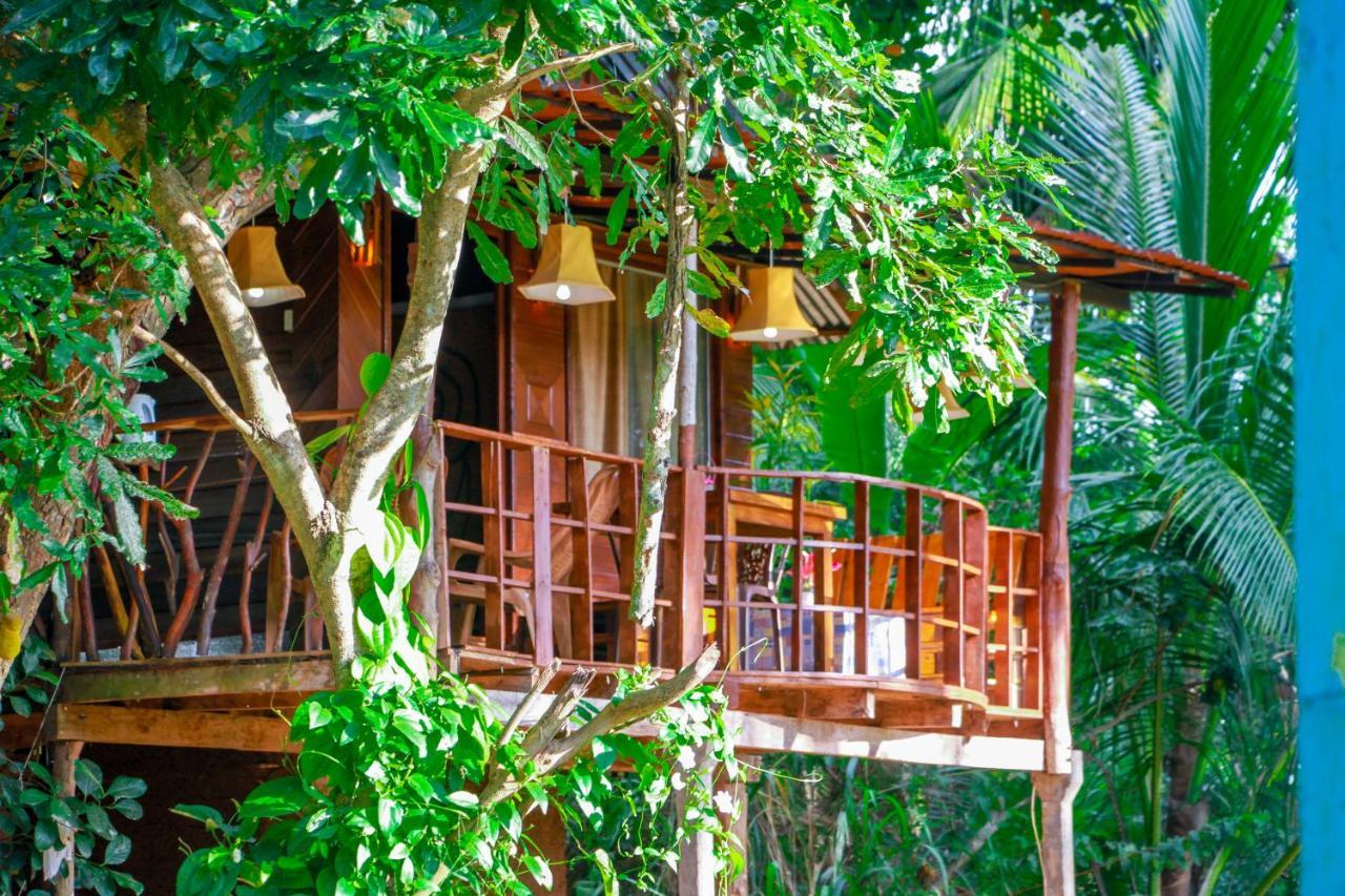 Experience The Comforts Of An Amazing Treehouse 锡吉里亚 外观 照片