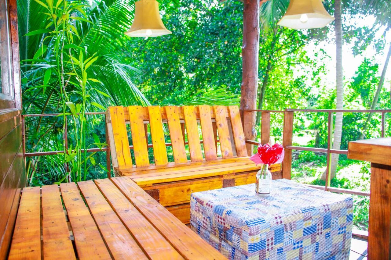Experience The Comforts Of An Amazing Treehouse 锡吉里亚 外观 照片