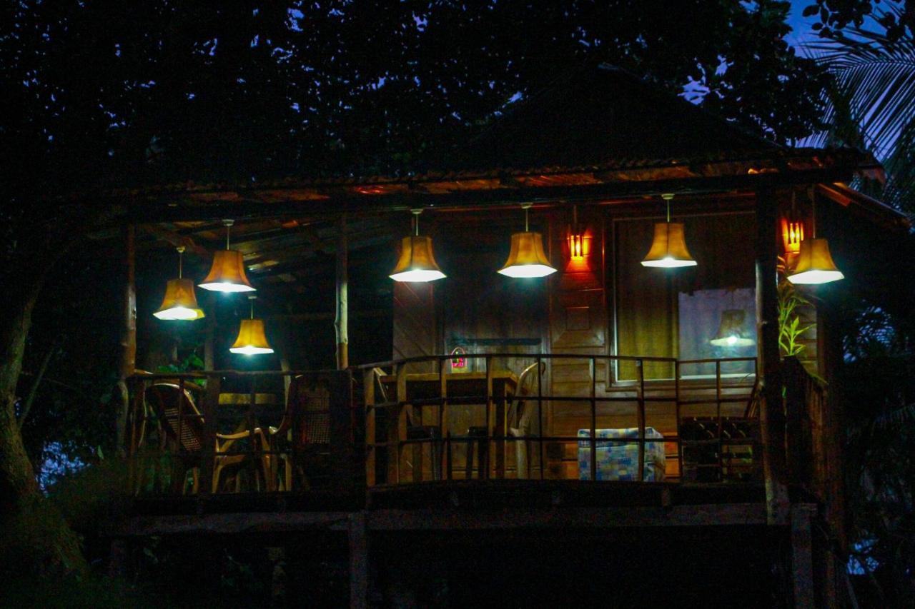 Experience The Comforts Of An Amazing Treehouse 锡吉里亚 外观 照片