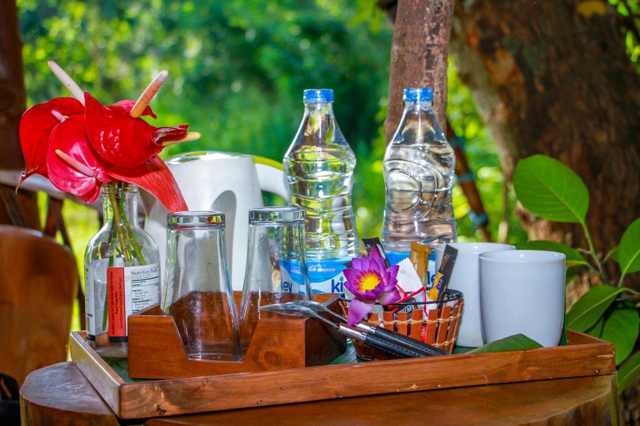 Experience The Comforts Of An Amazing Treehouse 锡吉里亚 外观 照片