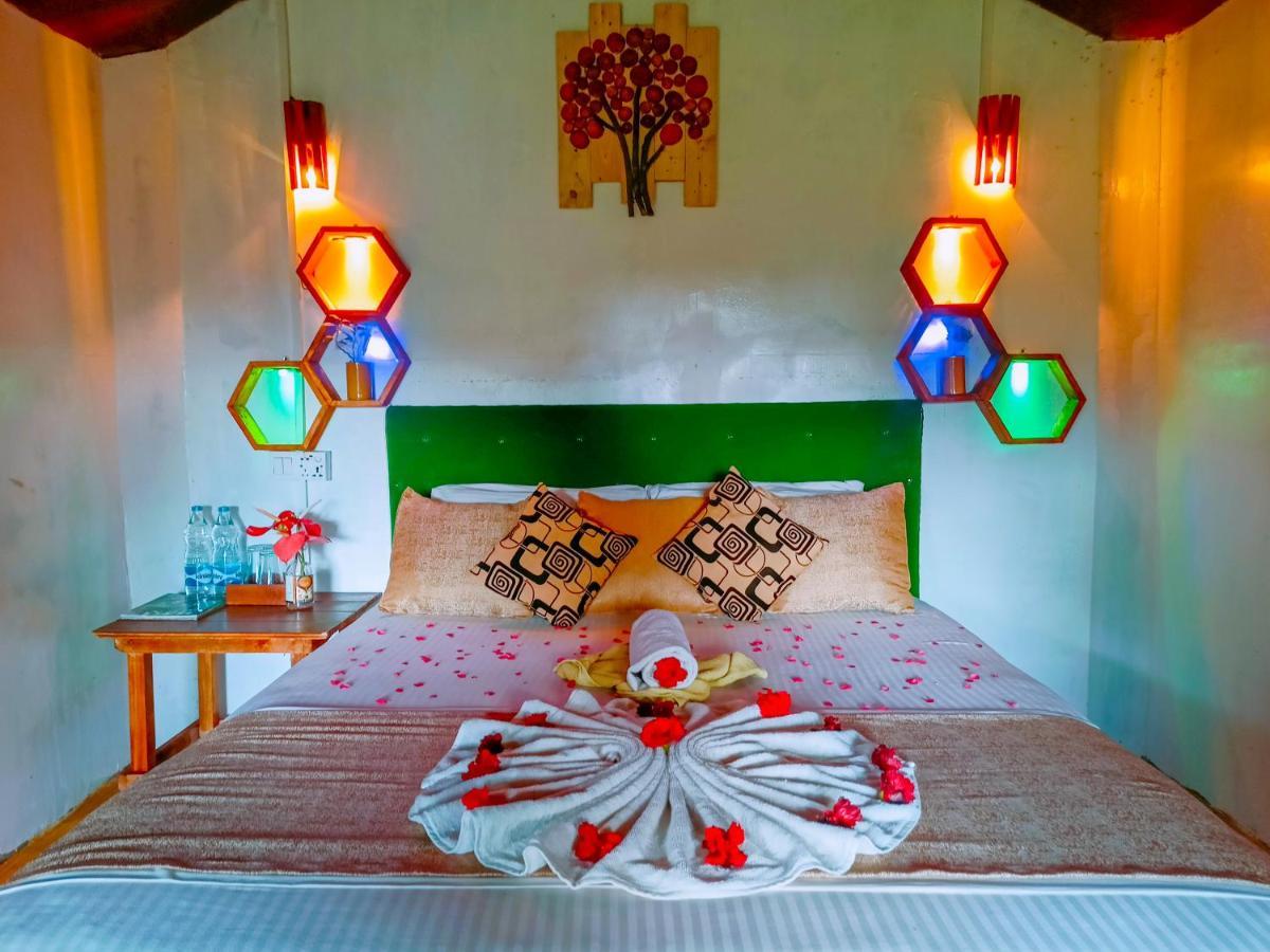 Experience The Comforts Of An Amazing Treehouse 锡吉里亚 外观 照片
