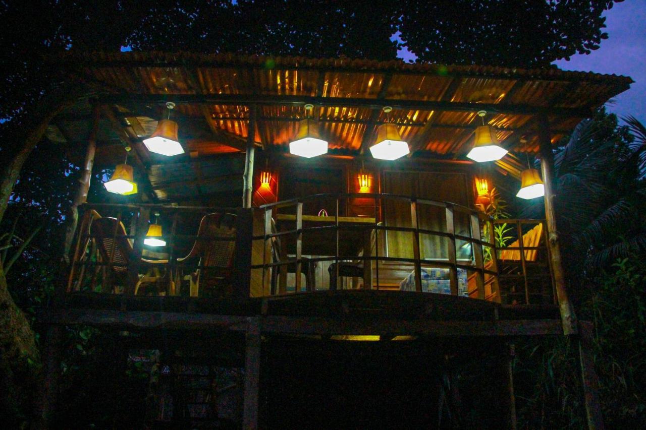 Experience The Comforts Of An Amazing Treehouse 锡吉里亚 外观 照片